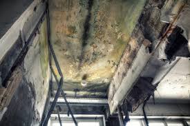 Best Mold Odor Removal Services  in Mcdade, TX